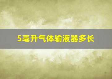 5毫升气体输液器多长