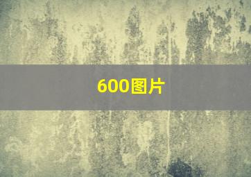 600图片