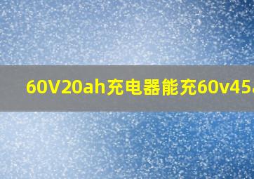 60V20ah充电器能充60v45ah吗