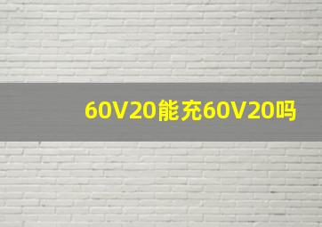 60V20能充60V20吗