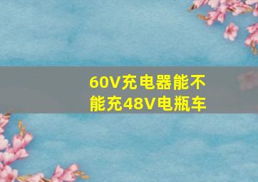 60V充电器能不能充48V电瓶车