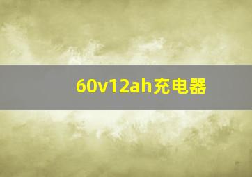 60v12ah充电器