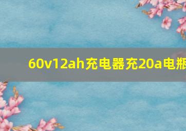 60v12ah充电器充20a电瓶