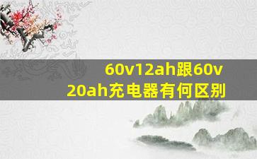 60v12ah跟60v20ah充电器有何区别