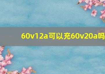 60v12a可以充60v20a吗