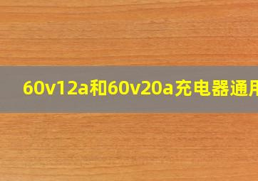 60v12a和60v20a充电器通用吗