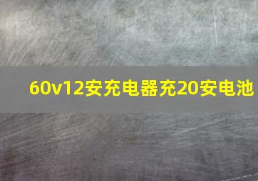 60v12安充电器充20安电池