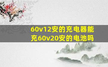 60v12安的充电器能充60v20安的电池吗