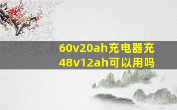 60v20ah充电器充48v12ah可以用吗