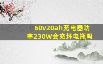 60v20ah充电器功率230W会充坏电瓶吗