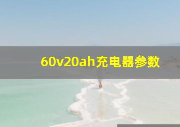 60v20ah充电器参数