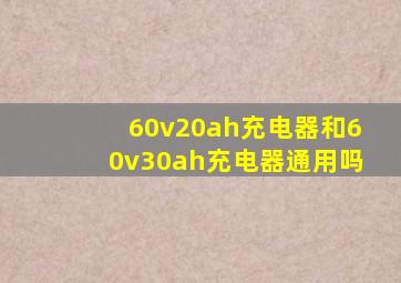 60v20ah充电器和60v30ah充电器通用吗