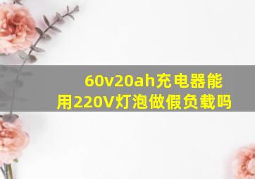 60v20ah充电器能用220V灯泡做假负载吗