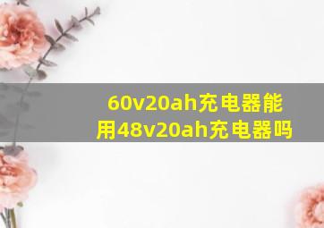 60v20ah充电器能用48v20ah充电器吗