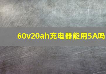 60v20ah充电器能用5A吗