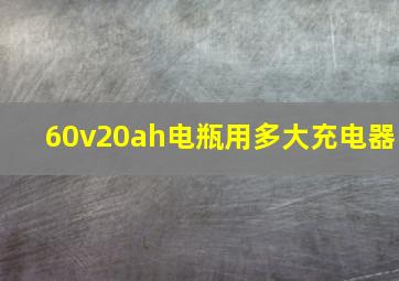 60v20ah电瓶用多大充电器