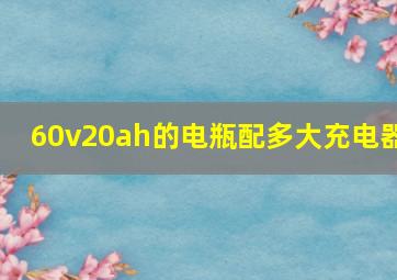 60v20ah的电瓶配多大充电器