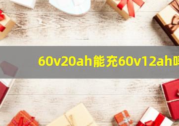 60v20ah能充60v12ah吗