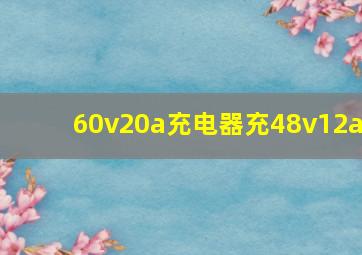 60v20a充电器充48v12a