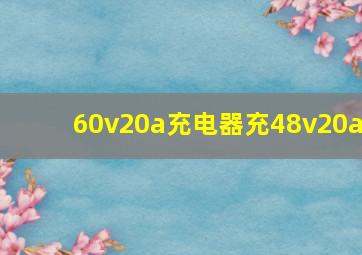 60v20a充电器充48v20a