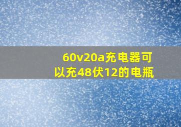 60v20a充电器可以充48伏12的电瓶