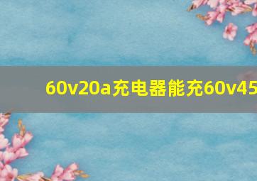 60v20a充电器能充60v45