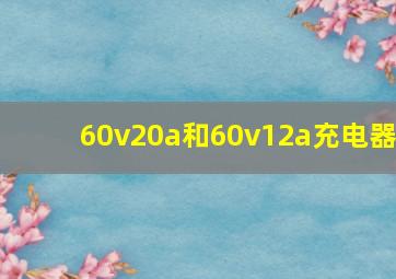 60v20a和60v12a充电器