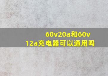 60v20a和60v12a充电器可以通用吗