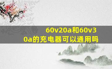 60v20a和60v30a的充电器可以通用吗