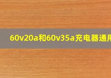 60v20a和60v35a充电器通用吗