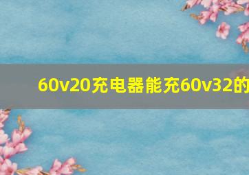 60v20充电器能充60v32的