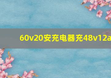 60v20安充电器充48v12a