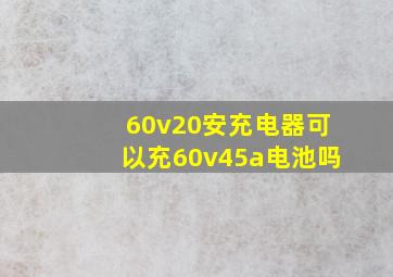 60v20安充电器可以充60v45a电池吗