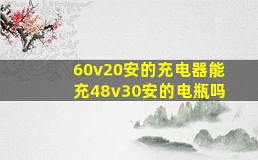 60v20安的充电器能充48v30安的电瓶吗