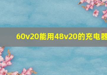 60v20能用48v20的充电器