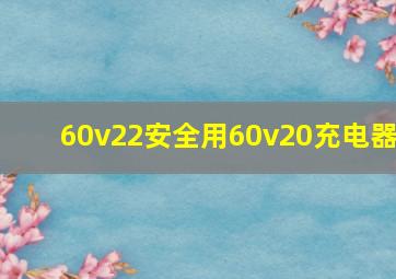 60v22安全用60v20充电器