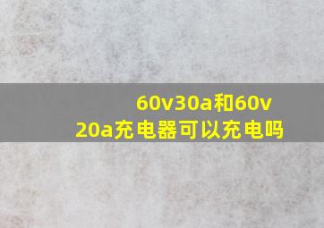 60v30a和60v20a充电器可以充电吗