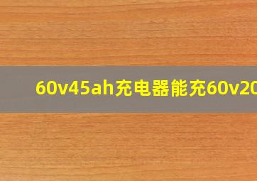 60v45ah充电器能充60v20ah