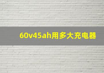 60v45ah用多大充电器