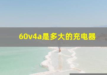 60v4a是多大的充电器