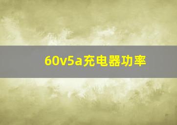 60v5a充电器功率