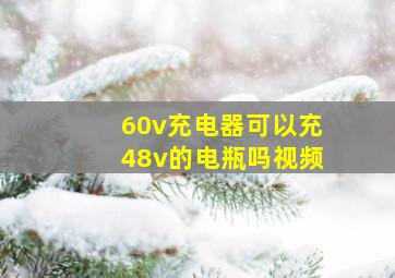 60v充电器可以充48v的电瓶吗视频