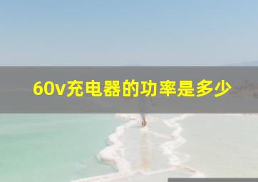 60v充电器的功率是多少