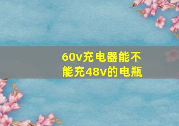 60v充电器能不能充48v的电瓶