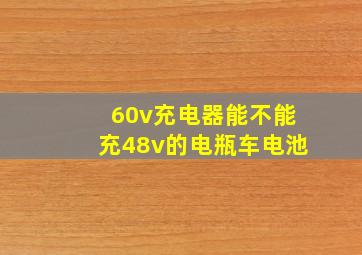 60v充电器能不能充48v的电瓶车电池