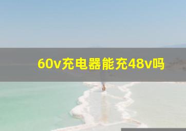 60v充电器能充48v吗