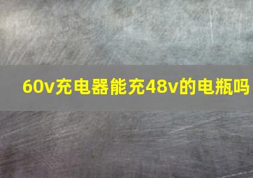 60v充电器能充48v的电瓶吗