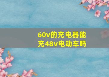 60v的充电器能充48v电动车吗