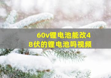 60v锂电池能改48伏的锂电池吗视频