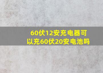 60伏12安充电器可以充60伏20安电池吗